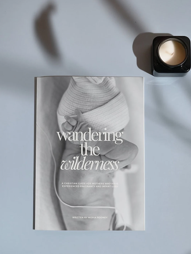 Wandering the Wilderness E-Book